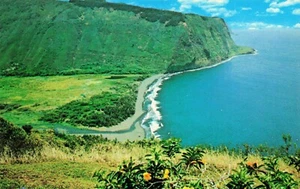 Postal Valle de Waipio en la escarpada costa de Hamakua de la Isla Grande de Hawai - Imagen 1 de 2