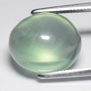 💎 Cabochon ovale 8,18 ct 12,8 x 11 mm prehnite verde naturale - Africa - Foto 1 di 10