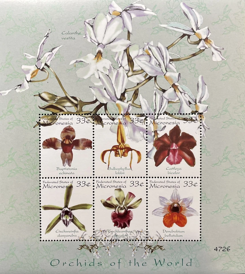 MICRONESIA ORCHIDS OF THE WORLD STAMP SHEET 2000 MNH WILDFLOWERS FLORA FLOWER 3 - Image 1 of 1