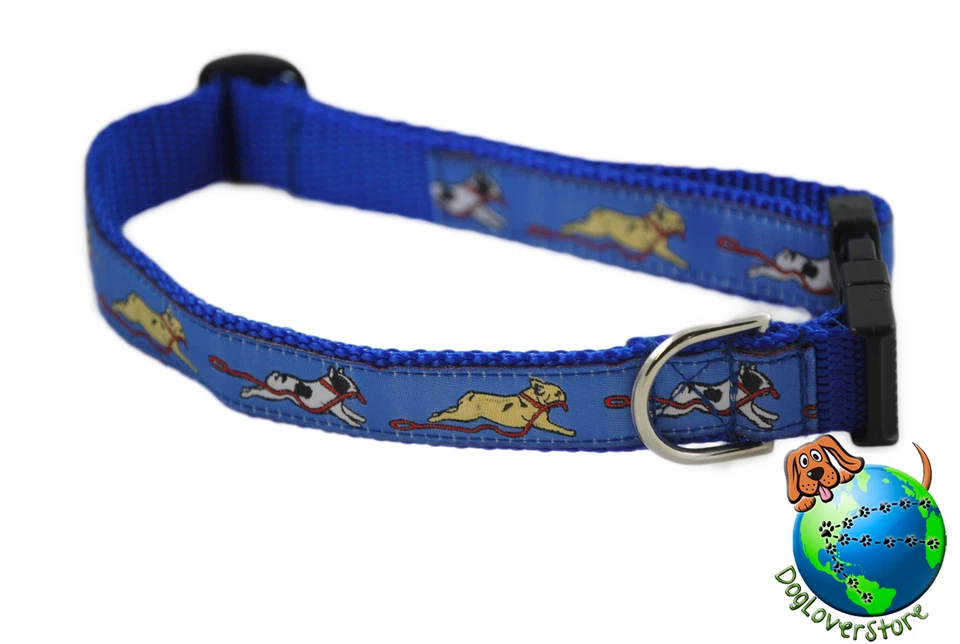 Bulldog Francés Cuello Ajustable Mediano 11-19" Azul Foto 1 de 1