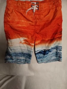 Boys Swim Shirts Surf Board Swim Shorts Size 14/16 Sunset Ocean Mesh Insert - Picture 1 of 13