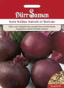 Rote Rüben Detroit 2/Bolivar Samen von Dürr Samen rote Bete ca 350 Korn - Bild 1 von 1