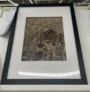 Brand New IKEA RODALM Black Picture Frame 31X41 cm 12X16 " 005.488.96 - Picture 1 of 2