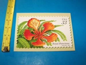 Postal Jumbo Flor Real Poinciana De Colección 1999 Arte Estampilla U.S.P.S. - Imagen 1 de 2