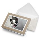 Greetings Card (Biege) - Smiling Boston Terrier Dog Puppy #16615