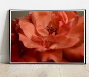 Amazing Nature Wall / King Size Poster - 36"x24" (#42) - Picture 1 of 2