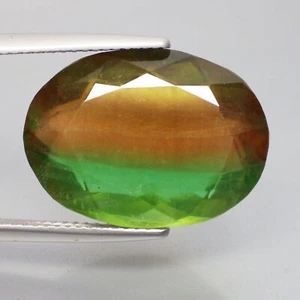 19.60 Ct Mystical (19 x 14) Oval Bi-Color Brazilian Flourite Gemstones - Picture 1 of 5