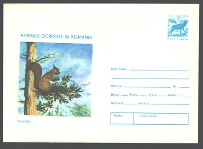 Romania , 1977  Squirrel, Eichhorn , Protected Fauna, stationary - Image 1 of 2