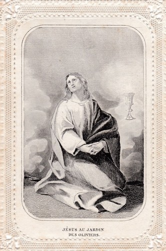 Foto 1 di 2