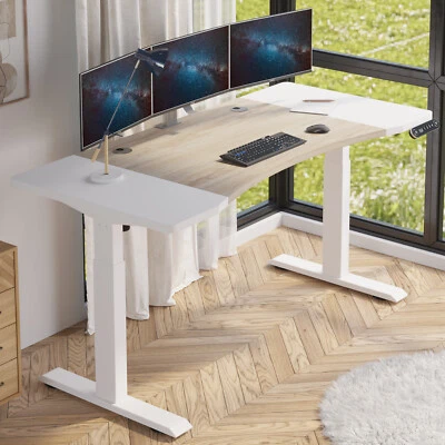 63" Modernchamp Electric Dual Motor Sit Standing Desk Height Adjustable Table