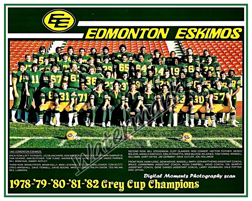 CFL 1982 Edmonton Esquimales 5 veces Gris Copa Campeones Equipo Imagen Color 8 X 10 Foto Foto 1 de 1