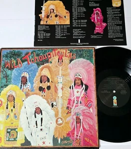 WILD TCHOUPITOULAS LP FUNK 1976 ISLAND RECORDS VINYL THE METERS BAYOU SOUL 12" - Imagen 1 de 22