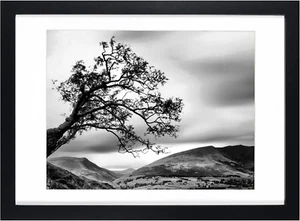 10x14 Black Wood Picture Frame | Fits 8.5x11 w/ Mat or 10x14 without Mat - Picture 1 of 6