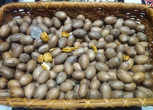Bulk Nuts 5lbs. Pecan Nuts - Picture 1 of 3