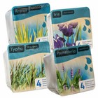 PREPACKED POND WATER PLANT KIT BASKET ZONE 3 MARSH MARGINAL REAL STARTER GARDEN