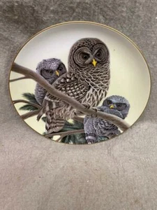 VINTAGE COLLECTOR'S PLATE "BARRED OWL" 688 / 5000 WILDLIFE INTERNATIONAL 1984 - Picture 1 of 3
