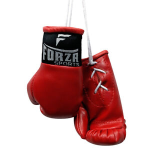 Forza Sports Mini Boxing Gloves