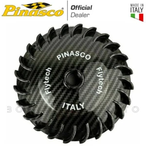 MAGNETE VOLANO PINASCO 600g MOPED 2.0 CARBONIO PIAGGIO CIAO SI BRAVO 50 ELETTRON - Imagen 1 de 2