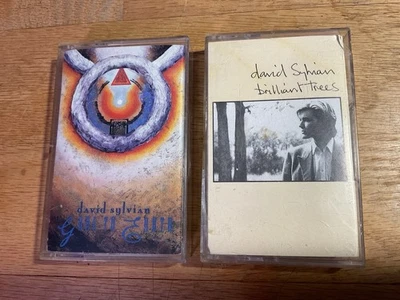 David Sylvian (ЯПОНИЯ) Новая Волна/Арт Рок ~Блестящие Деревья, Унесенные на Землю 2 Ленты - Изображение 1 из 4