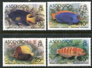 Ascension 262-265, montado sin montar o nunca montado, vida marina, pez ángel, . s8626 - Imagen 1 de 1