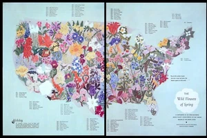 Land of Flowers Spring Wildflowers Across USA Mapa Leyenda Nombres Mag Artículo 1946 - Imagen 1 de 2