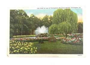 Cartolina Lily Pond in una delle bellissime proprietà di Covington Louisiana non spedita - Foto 1 di 2