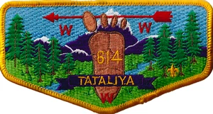 Tataliya Lodge 614 Grand Columbia Council WA Flap Yellow Bdr (AR4040) - Picture 1 of 1