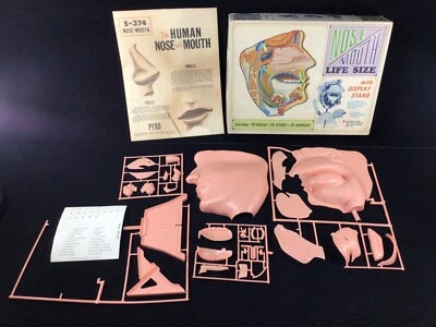 VINTAGE 1968 PYRO NOSE MOUTH ANATOMY LIFE SIZE MODEL KIT UNASSEMBLED COMPLETE - Image 1 of 4