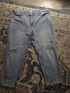 Women's Plus Size 20 Jeans - Picture 1 of 6