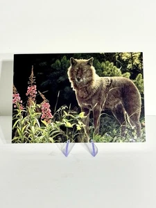 Leanin’ Tree Greeting Card Thinking Of You American Wildlife Collection Wolf - Picture 1 of 4