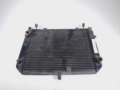 07 Yamaha FJR 1300 Radiator Free Shipping - Image 1 of 4