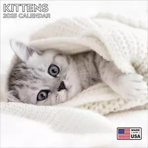 Calendario Gatitos 2025 - Lindo Calendario de Pared Animal - ¡Hecho en EE. UU.! - Imagen 1 de 8