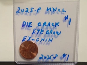 2025-P TWO EYE`S Forehead Crack, Large chip on Shield, More Errors Doubling. #1 - Picture 1 of 18