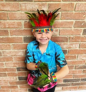 Mayan Feather Headband For Kids Fancy Dress Mayan Dress Up Day Key Stage 2 - Picture 1 of 4