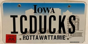 Placa de matrícula Vanity I SEE DUCKS ilimitada aves acuáticas cazador caza D/U IA - Imagen 1 de 12