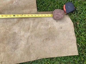 English Wilton Short Wool Carpet Biscuit ColorBought new 1985, has small damage - Picture 1 of 13