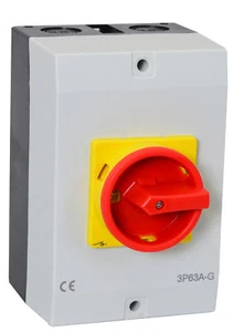 Interruptor Principal 32A 4-polig En Carcasa, Interruptor JS4P32A-G - Imagen 1 de 1