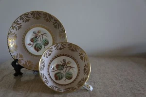 Vintage Royal Grafton hellbraun goldene Blätter Teetasse & Untertasse (17) - Bild 1 von 3