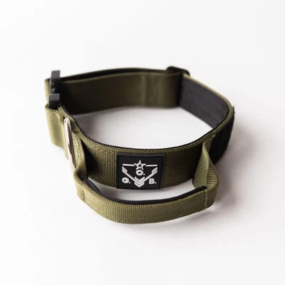 Collar ajustable táctico Good Boy para perro con hebilla de liberación rápida, verde Foto 1 de 4