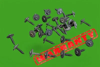 Ford Thunderbird 2002-2005 forros interiores hardware perno tornillo lote conjunto Foto 1 de 4