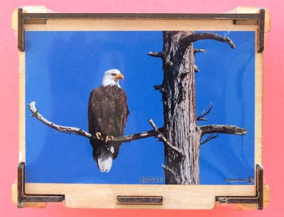 NUEVO ROMPECABEZAS DE MADERA DE ÁGUILA CALVA — ARTESANÍA SELLADA — CAJA DE CEDRO — ESTUDIO SIBBETT — ENCANTADOR Foto 1 de 4