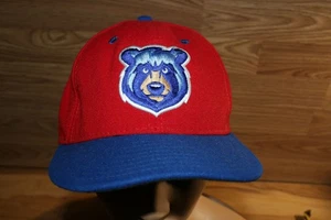 Cappello Minor League Tennessee Smokies NUOVO ERA aderente 7 orsi logo RARO 59fifty - Foto 1 di 10
