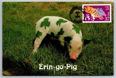 3895l Chinese Lunar New Year Boar FDC Maxi Card - Image 1 of 2