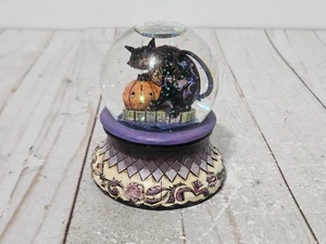 Jim Shore Black Cat Pumpkin Snow Globe 4014029 Heartwood Creek Halloween 2009 - Picture 1 of 17