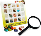 BEADNOVA Gemstone Rock Collection Kit for Kids Geology Science Learning with Mag