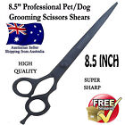 8.5 Inch Professional Pet Dog Grooming Scissors Cutting Straight Blade Shears