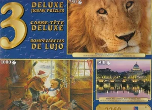 3 Deluxe Puzzles: You Play Goalie, African Lion, Vatican, Italy 2250 Piece - Picture 1 of 1