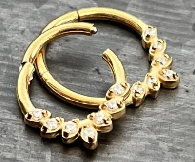 Anillo de segmento con bisagras de siete hojas de gemas 16 g clicker de tabique acero quirúrgico 316L 1 pieza  Foto 1 de 3