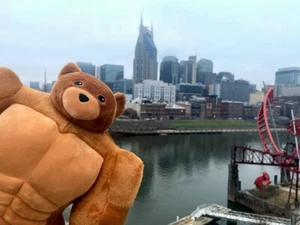 MUSCLE TEDDY BEARS (THINK IKEA ADVERT!!!!) - Picture 1 of 14