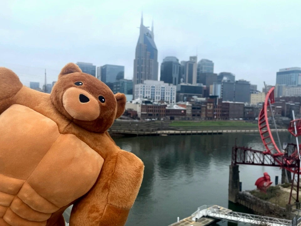 MUSCLE TEDDY BEARS THINK IKEA ADVERT SEE LINK IN DESCRIPTION - Image 1 of 4